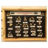Prehistoric fossilized teeth & fish bones set in