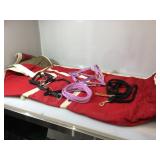 Horse blanket & 2 leads