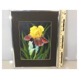 Ramona Rouse, painting of Irises , 11x 14 in