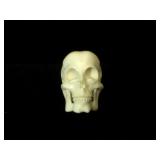 Bone skull scrimshaw netsuke