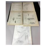 19th Century engraved book plates, ca 1830-50,