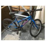 Roadmaster 15 speed bike model Mt. Fury