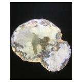 Geode 1/2. Polished , 8 inches across