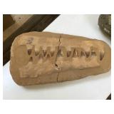 Large prehistoric fossilized crocodile teeth,