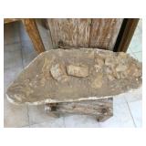 Large prehistoric crocodile fossilized bones,