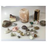 Lot of pretty shells and stone.