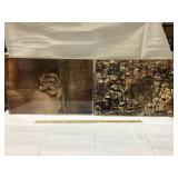 Framed Leopard and Snow Leopard photo prints