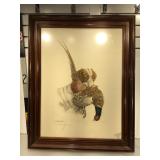 Retriever and Pheasant wildlife print, pencil