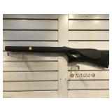 Poly Rifle stock for Ruger 10/22