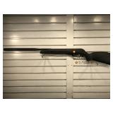 Gamo Big Cat Whisper Pellet Rifle - working