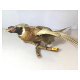 Mounted Ring Neck Pheasant in flight