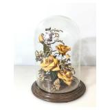 12 inch display dome with arrangement