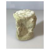 Fossil Whale Vertebra. Sharktooth Hill Deposits