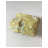 Fossil Whale Vertebra. Sharktooth Hill Deposits