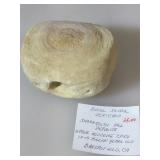 Fossil Shark Vertebra. Sharktooth Hill Deposits