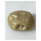 Fossil Shark Vertebra. Sharktooth Hill Deposits