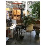 Lot of metal plant stands, prop plant on basket