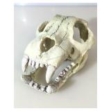 Composite Prop skull, approx 9x6x4.8 inches
