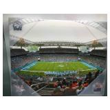 Miami dolphins photo file