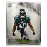 Lesean mcoy photo file