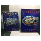 Florida gators wall hangers