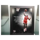 Michael Jordan framed photo file the goat