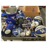Huge Kentucky wildcats fan lot