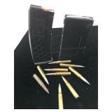 Approx. 29 rounds 308 ammo with magazine and AR