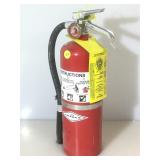 Amerex Fire extinguisher Type A Size II, local