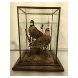Mounted game birds in glass - bronze -and wood