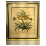 Vintage hand colored floral engraving , Corona