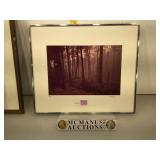 G.Gorman signed and numbered photograph, 1/25,