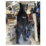 Black Bear 6 Ft tall , near mint condition w/stand