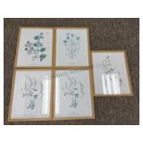PRINTS (5)- WILD FLOWERS PRINTS (5)- WILD FLOWERS