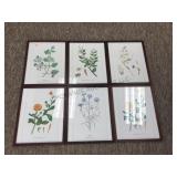 PRINTS (6)- WILD FLOWERS PRINTS (6)- WILD FLOWERS