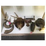ASSORTMENT OF ANTLERS, HORNS, BEAR HEAD & MORE