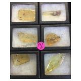6 PIECES OF MAN MADE AMBER IN DISPLAY BOXES
