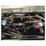 TRAY LOT OF SURGICAL TOOLS