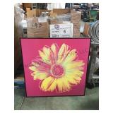 PALLET OF 12 DAISY PICTURES