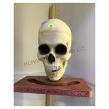 SKULL DISPLAY