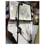 INDIAN GOLDEN COMANCHEE COMPOUND BOW