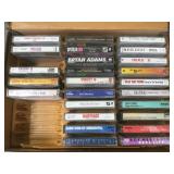 LOT OF CASSETTE  TAPES, BRUCE SPRINGSTEIN & MORE