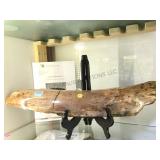 FOSSILIZED WOOLLY MAMMOTH TUSK W/ COA