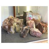 6 PIECES OF ARIZONA PETRIFIED WOOD