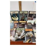 Wildfowl carving magazines