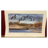 ï¿½Husker Honkersï¿½ -signed limited Art Print