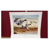 ï¿½A Bluebird Dayï¿½ -signed limited Art Print