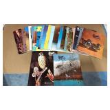 Lot of 1970ï¿½s ï¿½North American Decoysï¿½ Magazine