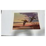 20ï¿½ X 16ï¿½ unframed Art Print