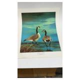 20ï¿½ X 16ï¿½  unframed  Art print